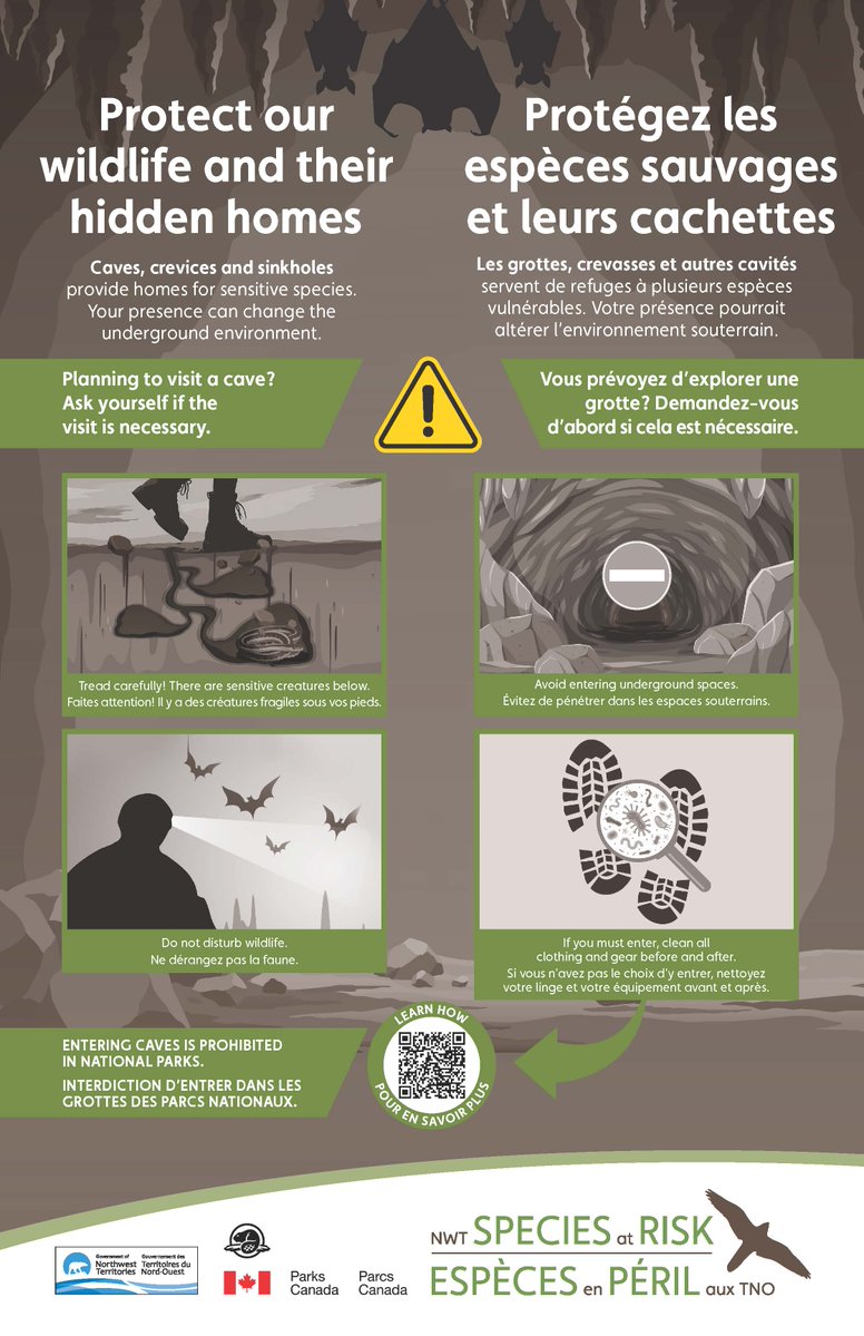 Your footsteps can change the underground environment.
Caves and crevices are vital wildlife habitats:
•Avoid entering
•Tread carefully 
•Do not disturb wildlife
•If you must enter, clean all clothing and gear before and after. 

Learn how: cwhc-rcsf.ca: Canadian