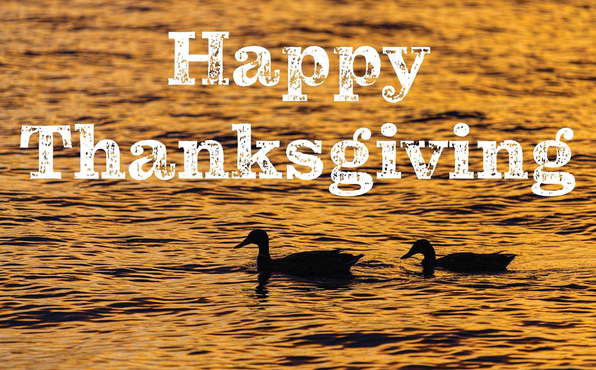 BestWaterInTX's tweet photo. We hope everyone has a wonderful Thanksgiving week. We are grateful to serve our community with the best water in Texas! https://t.co/ffc80oObv4