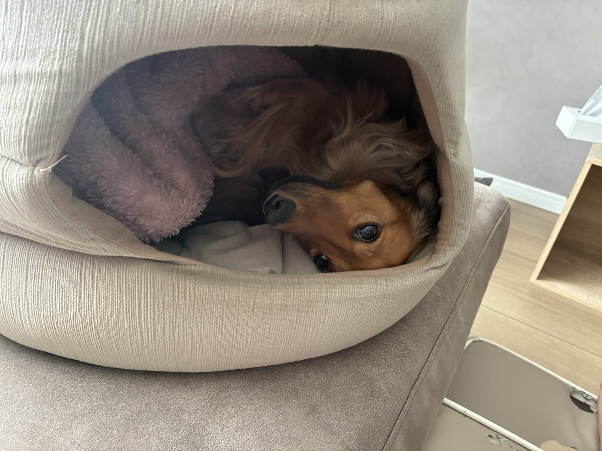 ﾔﾏﾀﾞ tweet media