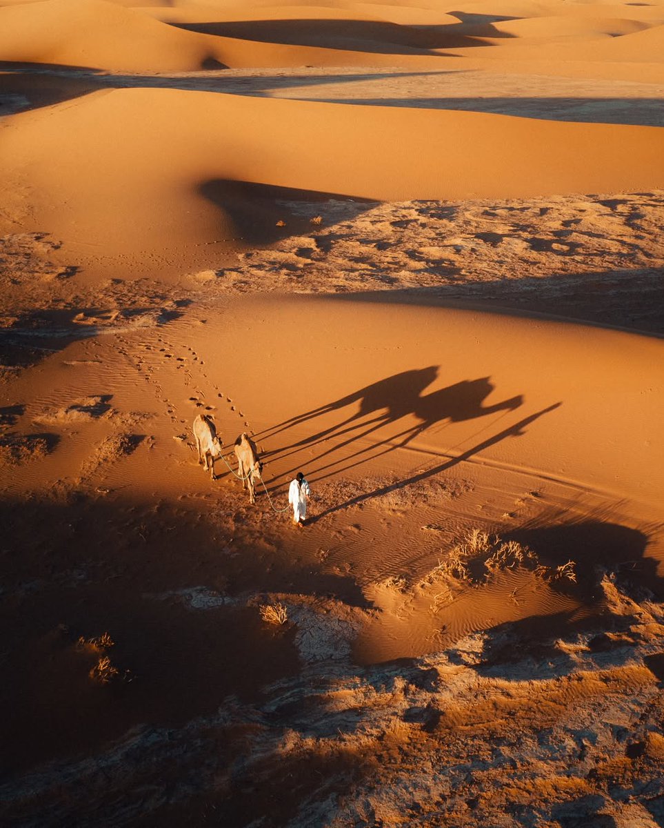 mrdzidzor's tweet image. The Sahara desert from above 🇲🇦.