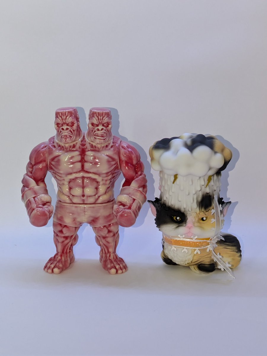 もうこやまさんから【 ジャイアントゴリラフランケン【MMA】・ミドル