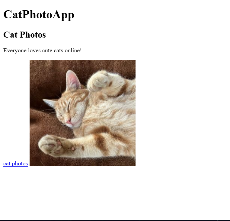 MoniTechCodes's tweet image. Day 113
Working on a small Cat Photo App 🐱 — brushing up my frontend basics.
Keeping it simple, but consistent. Every little project counts. ✨
#Day113 #100DaysOfCode #Frontend #HTML #CSS #LearnInPublic  #CodingJourney #30NitesOfCode
codedex.io/community/30-n…