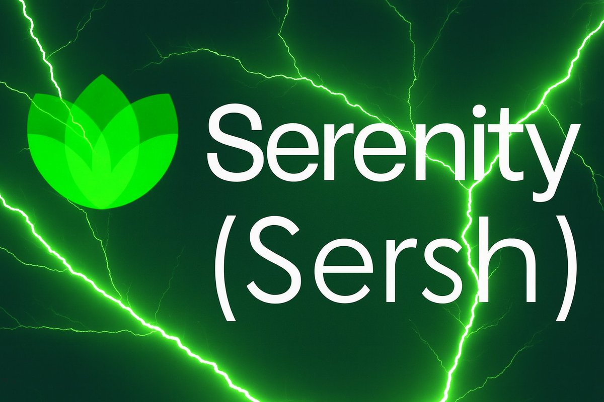13Bossie's tweet image. The crypto market keeps getting hammered, thanks in part to memecoins that suck money out of the system and deliver nothing
@SerenityStech is different
I have real confidence in their team: smart products, real utility

Their token: $Sersh
s.technology
#sAxess 
#sBox