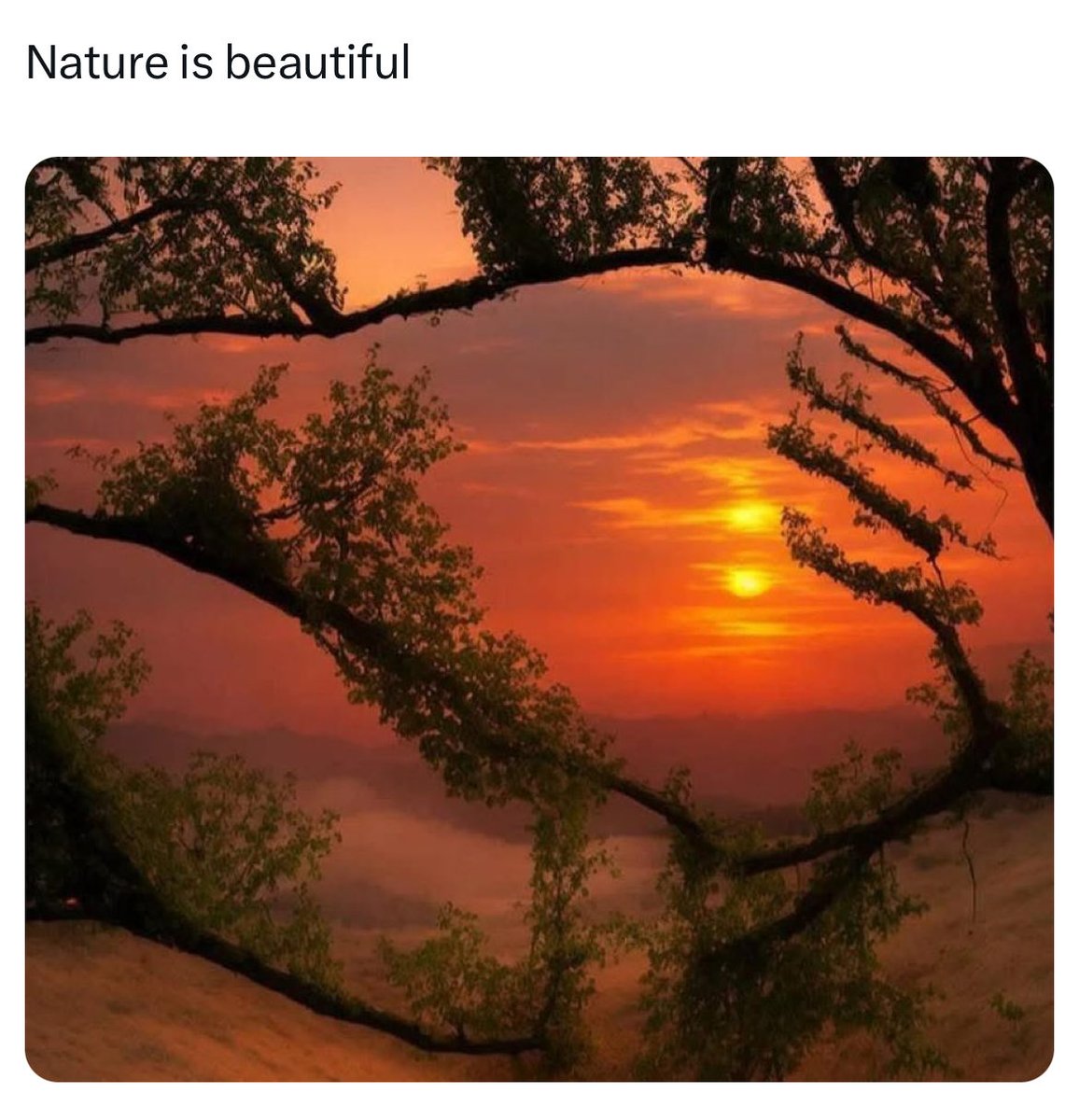 sadiyalove_'s tweet image. 