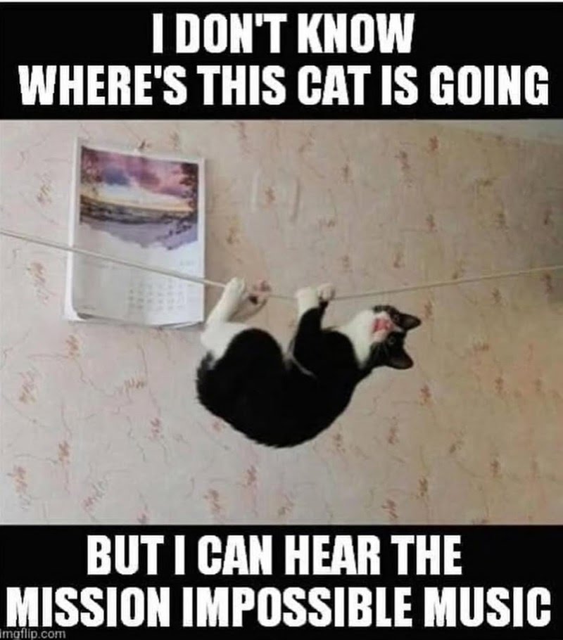 Joe 🇺🇸🤘😎🤘🇺🇲 (@ozzjoe) on Twitter photo 