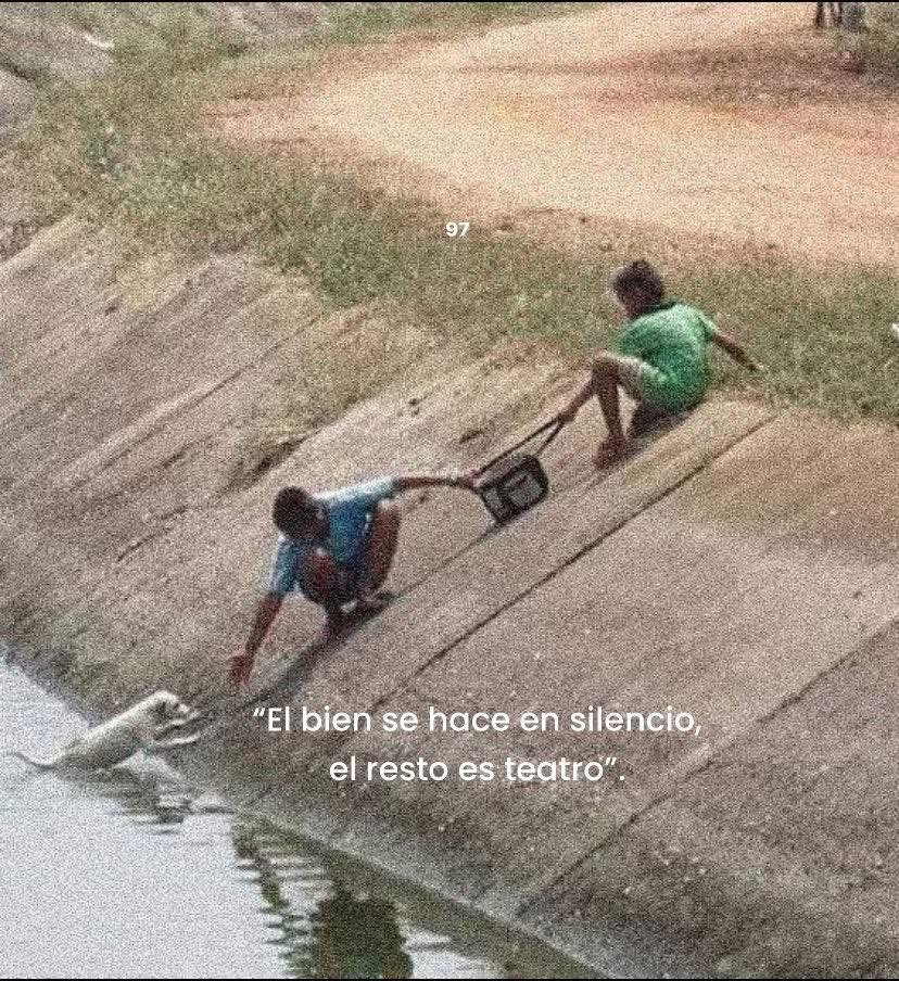 BANDIDOS (@bandidosfrasess) on Twitter photo 