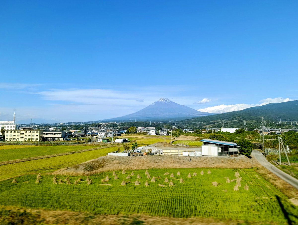 Le Chat ☔️Specht ∞ (@wanderschnee) on Twitter photo 