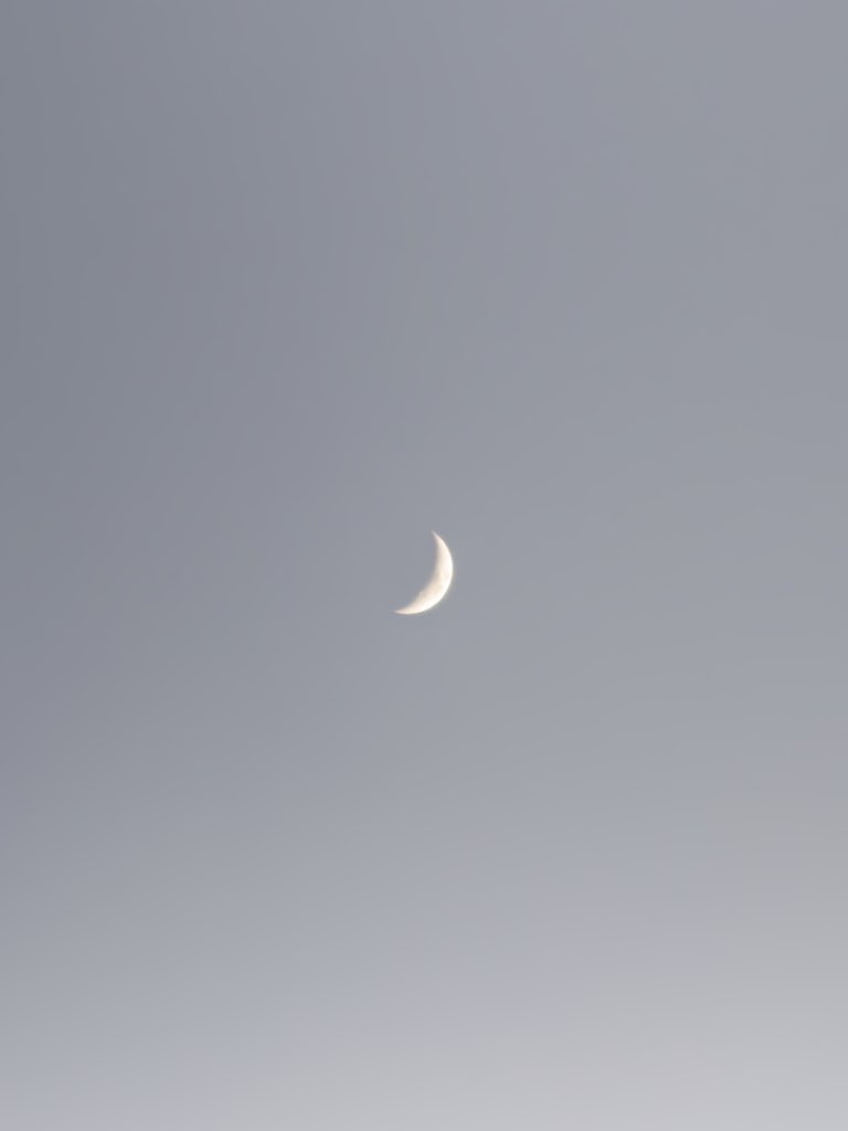 شاي و ليالي نُوفمبر