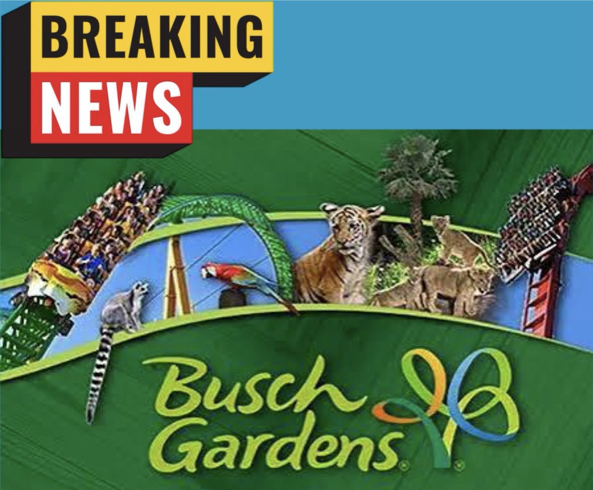 SaxOnTracks tweet media