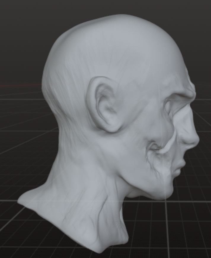 SkeletonFinatic's tweet image. Fallen in love with 3D modelling all over again.

Humanized version of my skeleton oc, Grey 🫶