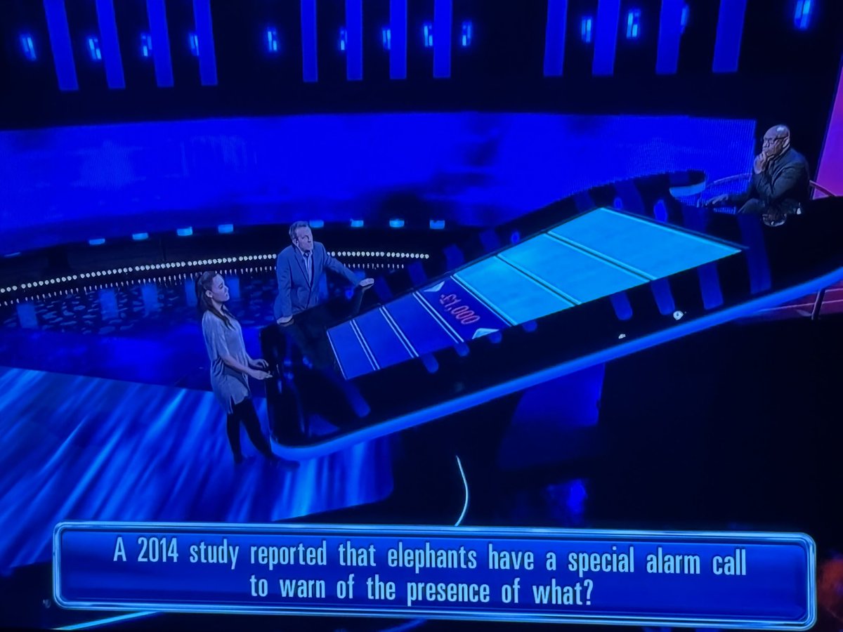 Mark Scales tweet media