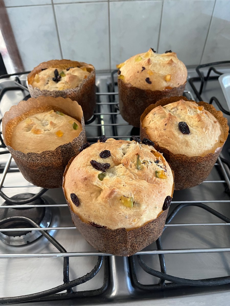 studygabs's tweet image. Aí estão os meus panetonessss