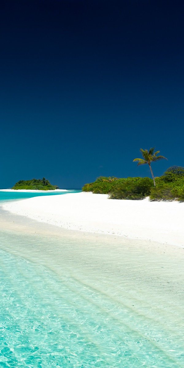 Amazing Nature (@amazingpicshq) on Twitter photo 