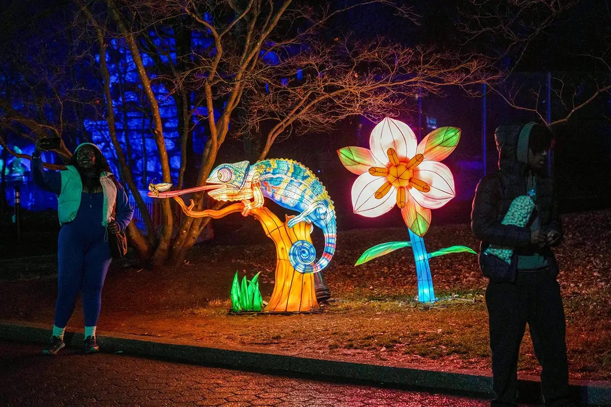 lumileds's tweet image. .@NationalZoo brings the holiday season to life with over a million nature-inspired #LEDs 🐼

LEDs transform animal lanterns and large-scale displays into an immersive holiday experience, check out the festive jungle with @NorthernVAMag:
bit.ly/4oMy8yB