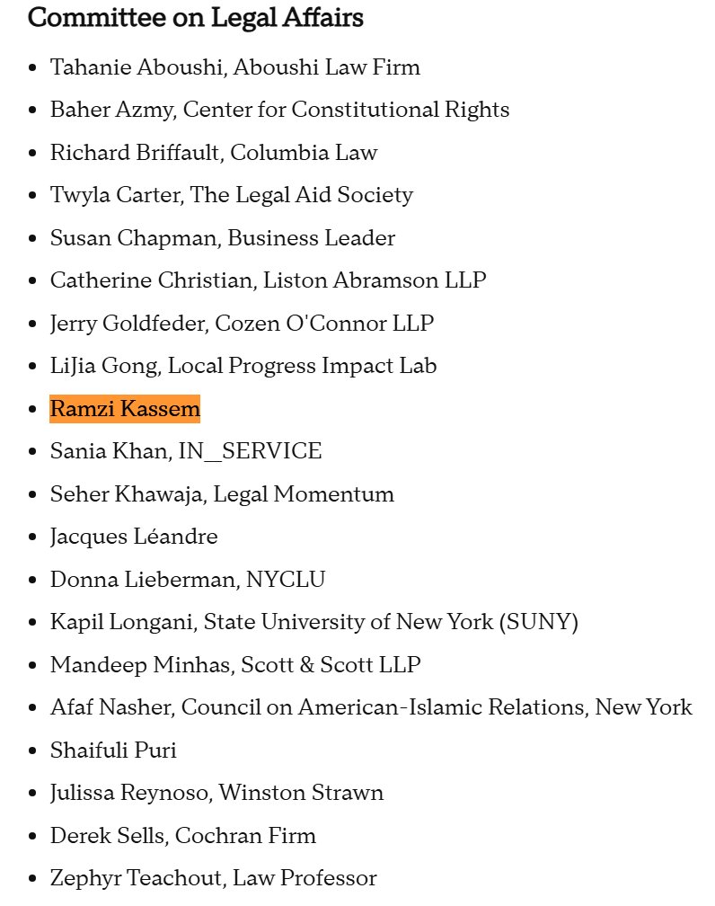 thestustustudio's tweet image. Wild how Zohran’s Transition Committee on Legal Affairs includes Ramzi Kassem — the CUNY CLEAR lawyer behind Mahmoud Khalil and countless student-radical cases. Says everything.