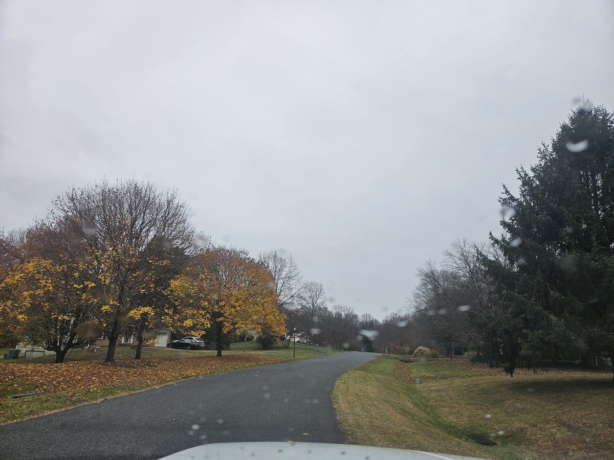 Feliz tarde 🍁🍂☁️🌧🫶