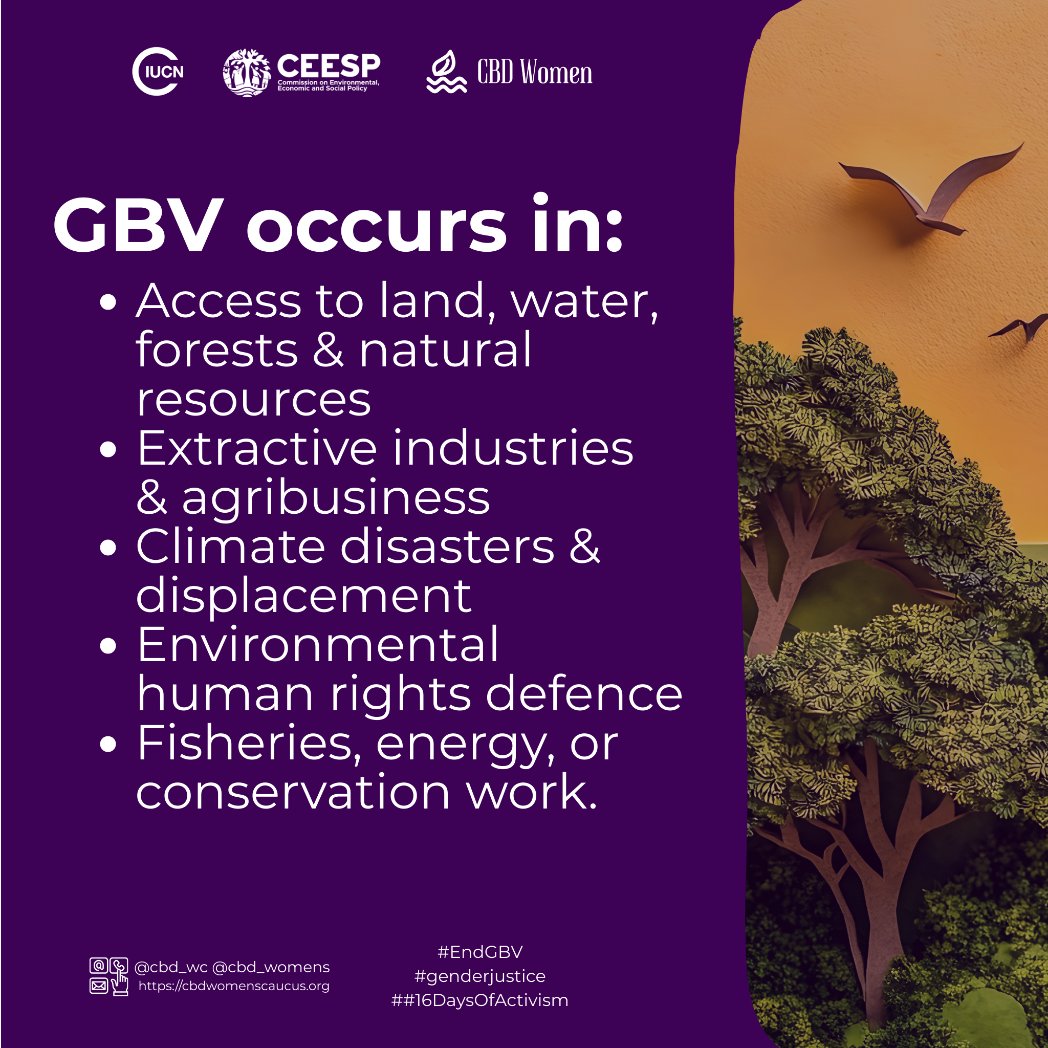 cbd_wc's tweet image. GBV is not only a social issue — it’s an environmental and human rights crisis. It appears across land rights, climate impacts, and extractive industries.
📘 Based on IUCN (Castañeda et al., 2020)
#16DaysOfActivism #EndGBV #GenderJustice #EnvironmentalJustice