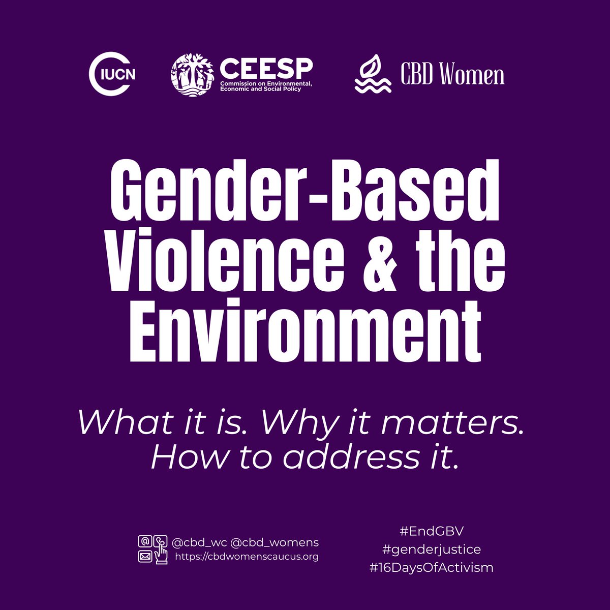 cbd_wc's tweet image. GBV is not only a social issue — it’s an environmental and human rights crisis. It appears across land rights, climate impacts, and extractive industries.
📘 Based on IUCN (Castañeda et al., 2020)
#16DaysOfActivism #EndGBV #GenderJustice #EnvironmentalJustice