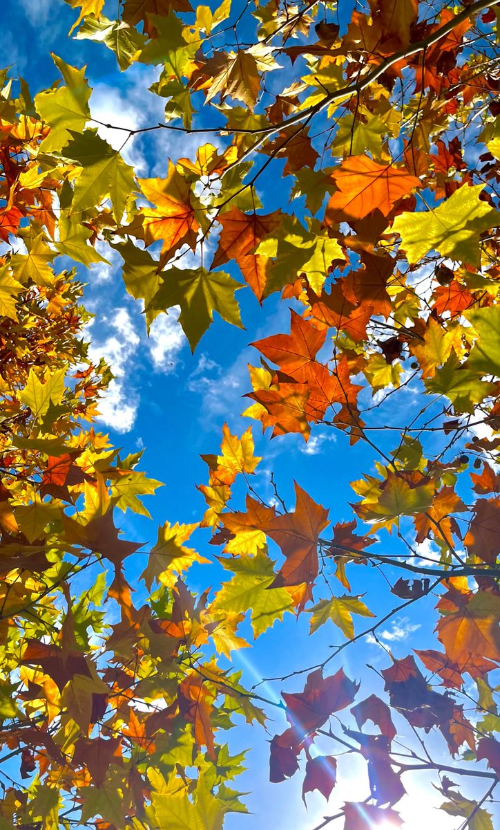 Somehow, someday, it’ll all work out for me.