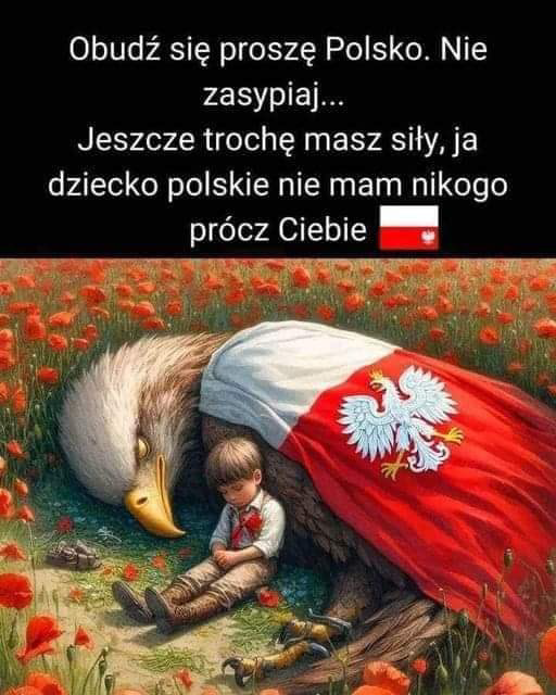 <a href="/MieczyslawNiew5/">Mieczysław N.#EchoHistorii .#PrawiZaNawrockim</a> 🇵🇱🇵🇱🇵🇱
