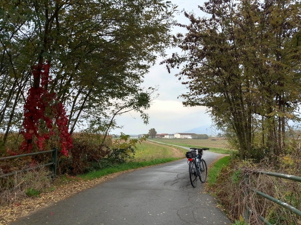 luca_bergamasco's tweet image. Some trees here as well, but too thin. Still, I like this pic. #TheRoad #bicycle #tree #TreeClub