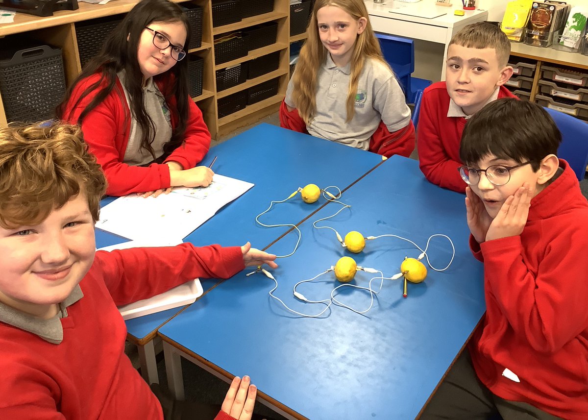 Some super scientists in Year 6 today. We investigated which fruits or vegetables make the best batteries. The answer? Lemons! The citric acid acts like the electrolytes in a battery and the copper and zinc, like the cathode and anode. Wow!