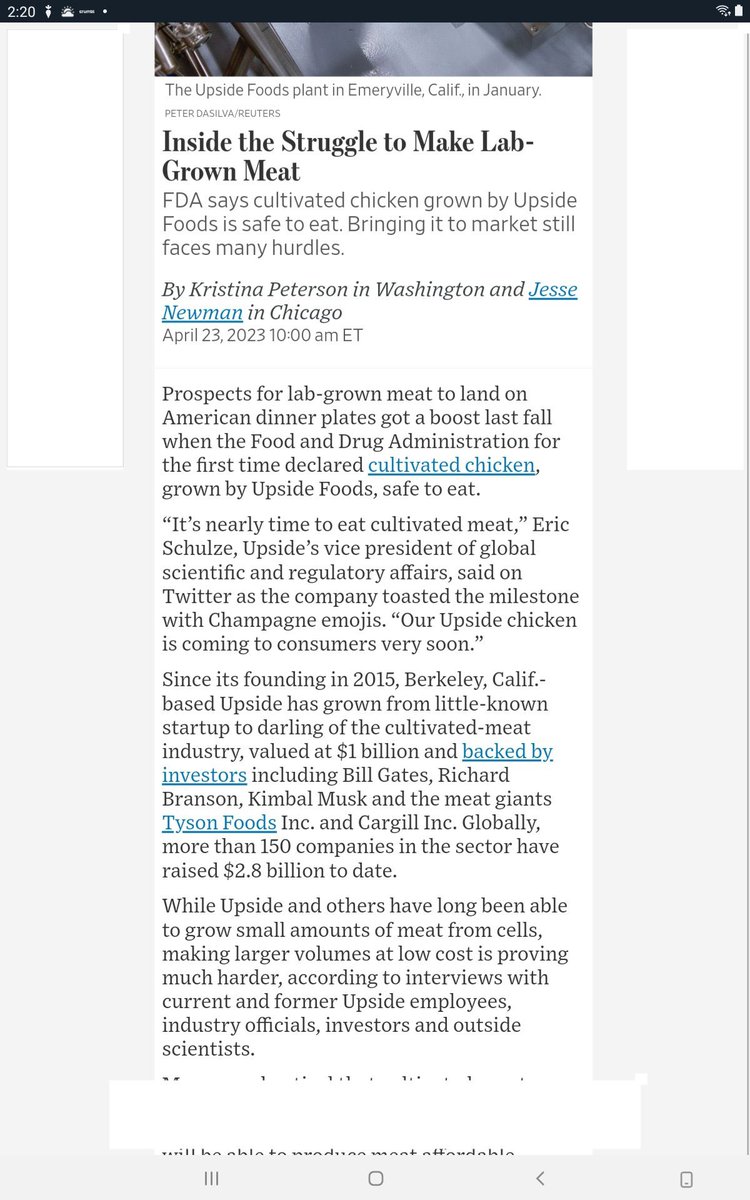 Euphorio tweet media