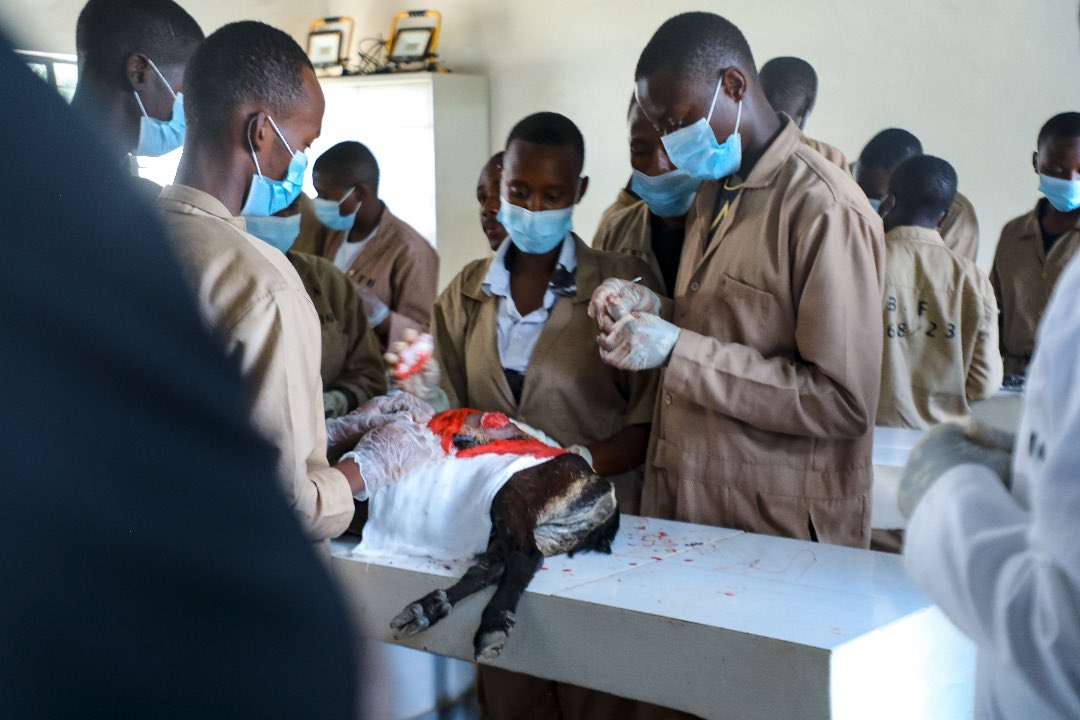 Rwanda TVET Board tweet media