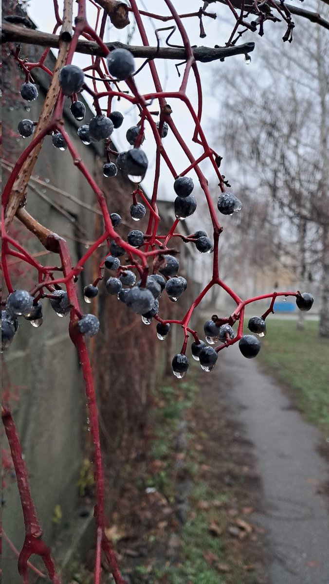 ivalent_'s tweet image. 