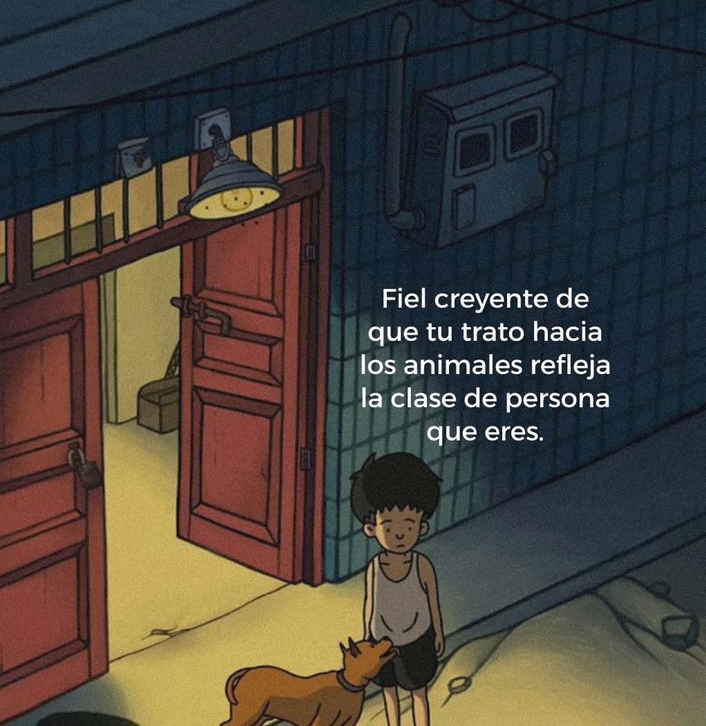 vibes (@vibesfyp) on Twitter photo 