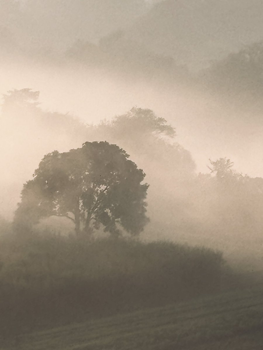 sleepydude tweet media