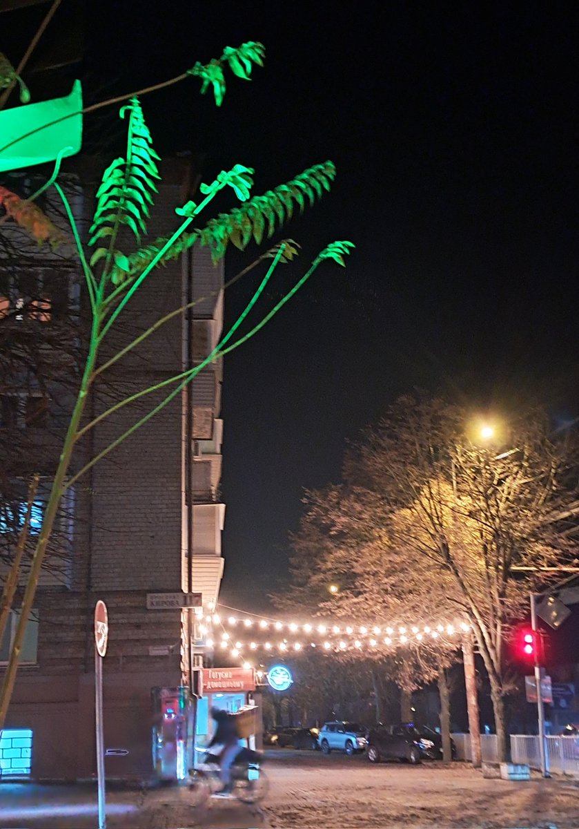 ivalent_'s tweet image. 