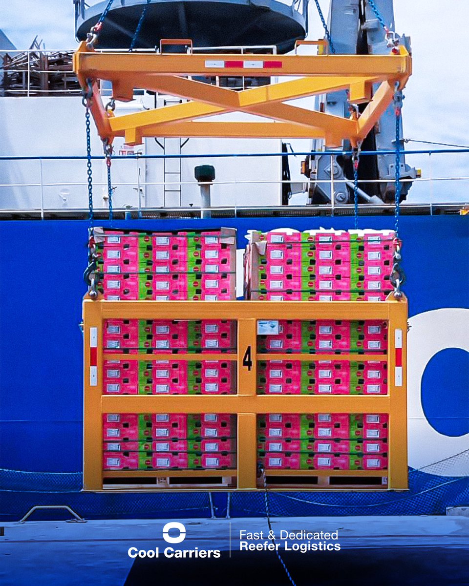 coolcarriers's tweet image. The journey continues.
Another successful call for the Baltic Performer, keeping the cold chain strong from Peru to the U.S. East Coast. ❄️🌍

⚡️Fast &amp;amp; Dedicated Freezer Logistics
.
#CoolCarriers #ReeferShipping #ReliabilityInMotion #MaritimeLogistics #ShippingIndustry
