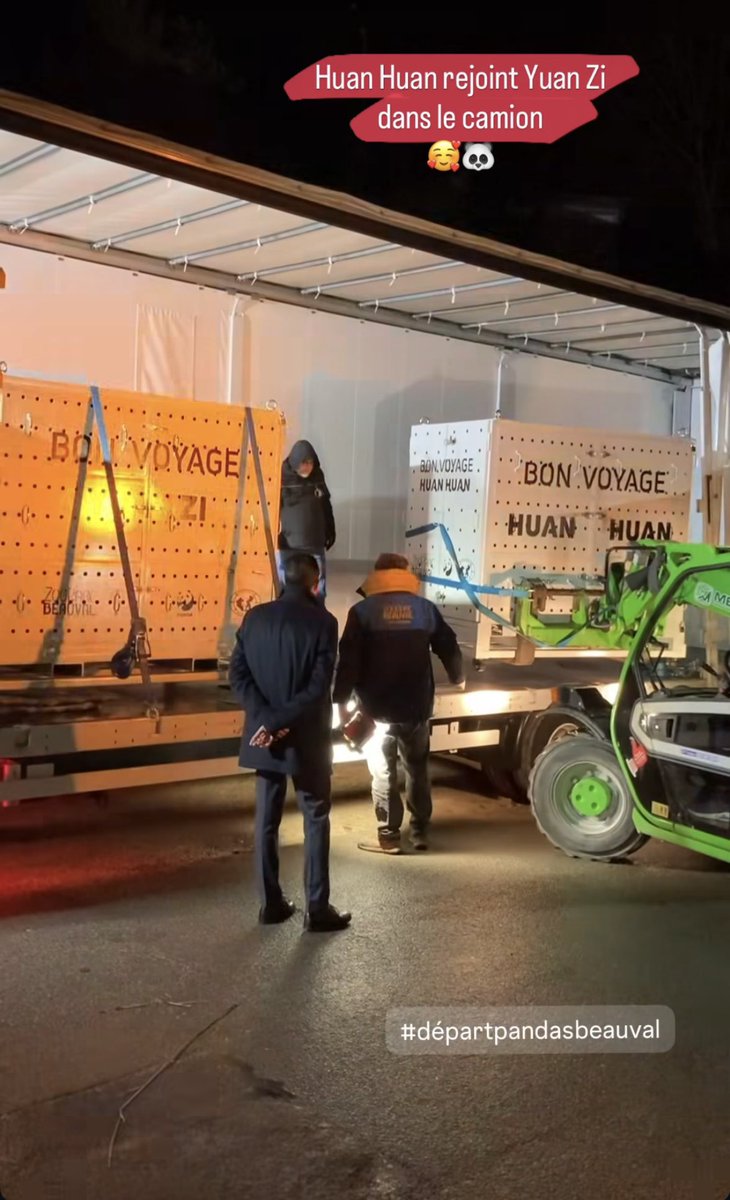 pandas_fr's tweet image. 🐼🐼 🇫🇷✈️🇨🇳 Ça y est Huan Huan et Yuan Zi ont quitté @zoobeauval tôt ce matin. Voici les photos du chargement et du convoi publiées par ©️#Beauval et les infos sur leur vol vers @Chengdu_China sur cette page spéciale ⤵️⤵️
panda.fr/depart-huan-hu…

#départpandasbeauval