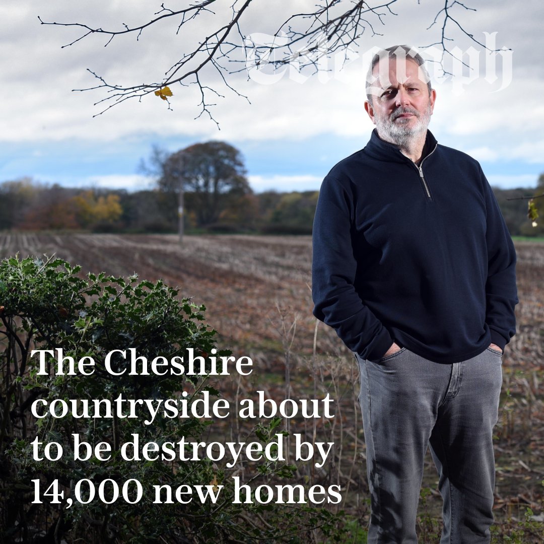 The Telegraph tweet media