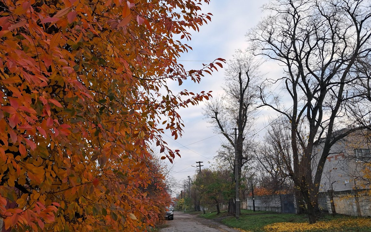 ivalent_'s tweet image. 