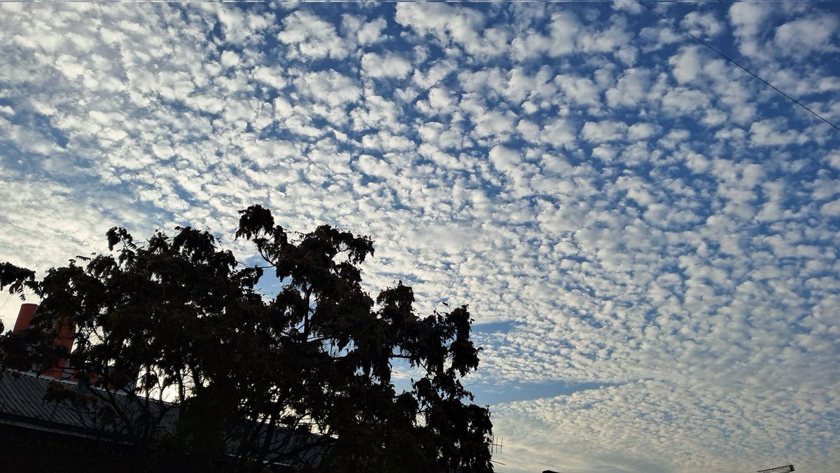 ivalent_'s tweet image. 