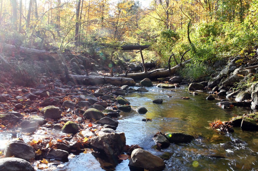 MassEcoRestore's tweet photo. This Thanksgiving, we're reflecting on what we’re thankful for at DER. We're thankful for our passionate partners, our hard-working &amp; innovative staff, &amp; for the beauty of the natural spaces that surround us. What are you thankful for this year? https://t.co/KXYTlE0AhB