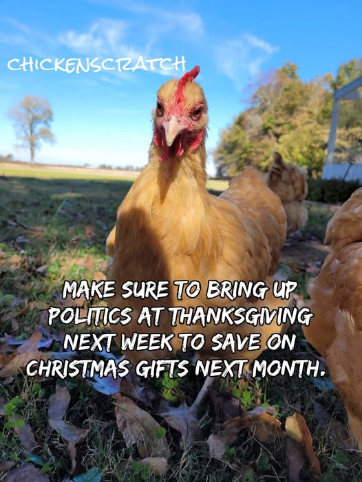 DCSCInc's tweet image. 😃I saw this and love it! Happy Thanksgiving to all our supporters and our unofficial adopted friends from over seas. We appreciate you so much! @SteveAndApril1 @BigelowBethany @Bewickwren @samiamiu @NigelTPacker @DollyDemeli @witzshared @Jason_Culleton @ADMoyerLumber