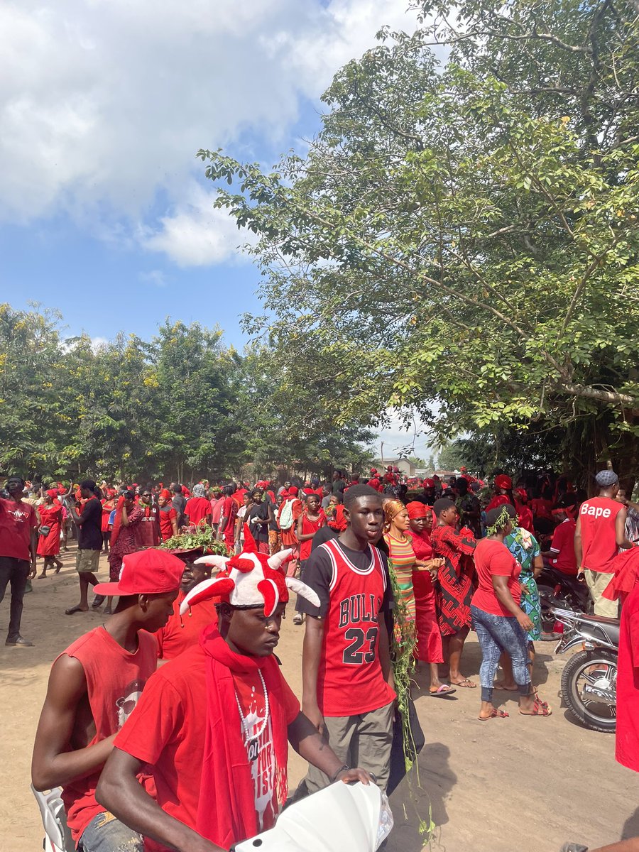 real_gidison's tweet photo. These are snippets from Avenor Tutudoza celebrated by the Avenors in the Volta Region.
This particular event marks the pilgrimage to Datsutagba,an area of land with isolated forests, which is believed to be sacred. 
#AvenorTutudoza #Ewe #Avenor #Ghana https://t.co/h2wI2Ntpxu