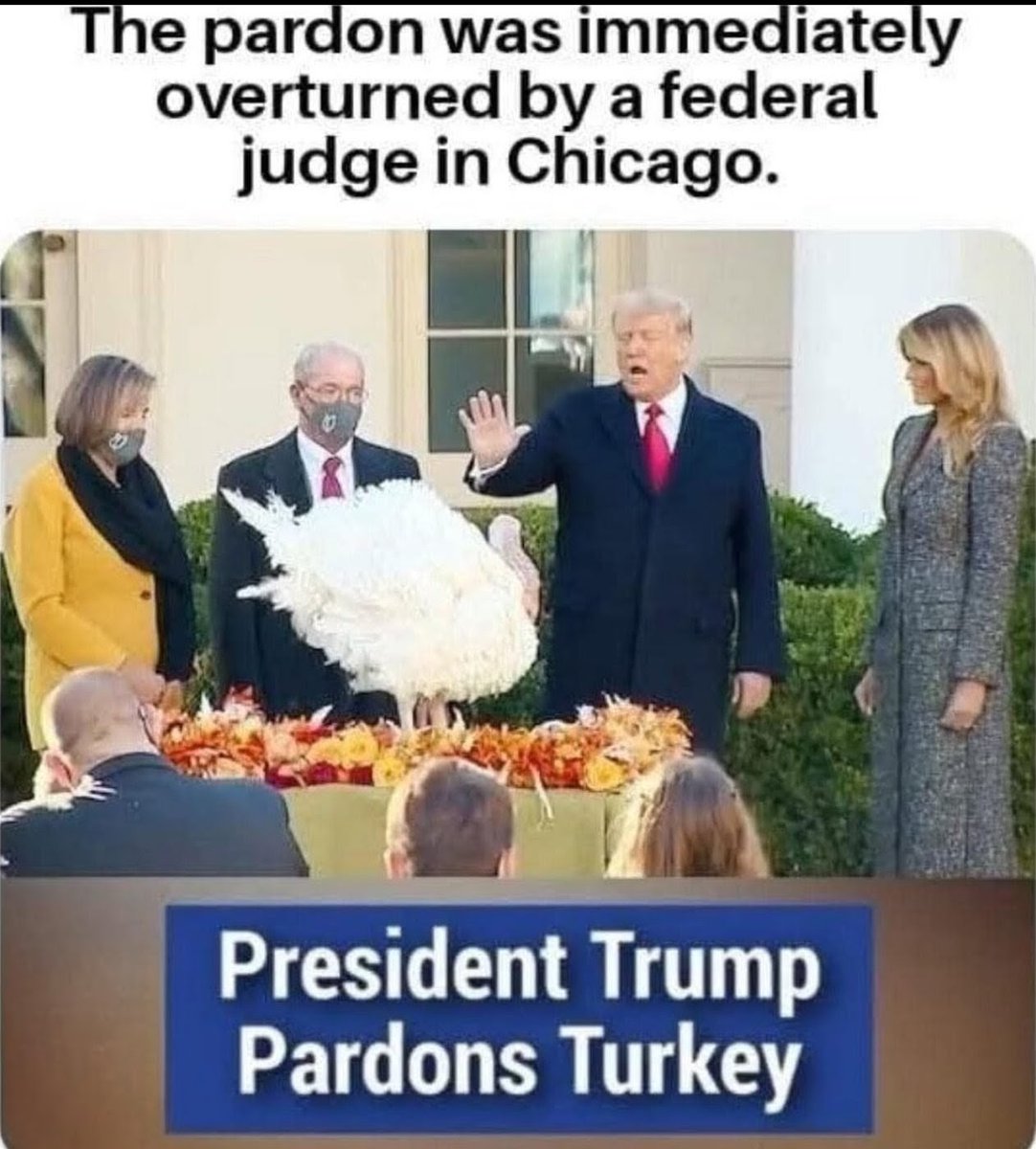 ksgnr2's tweet image. 