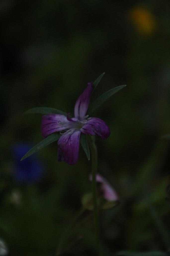 Ich wünsche Euch einen schönen gemütlichen Abend und für später eine erholsame Nacht. Bis dahin 🙋‍♂️😴