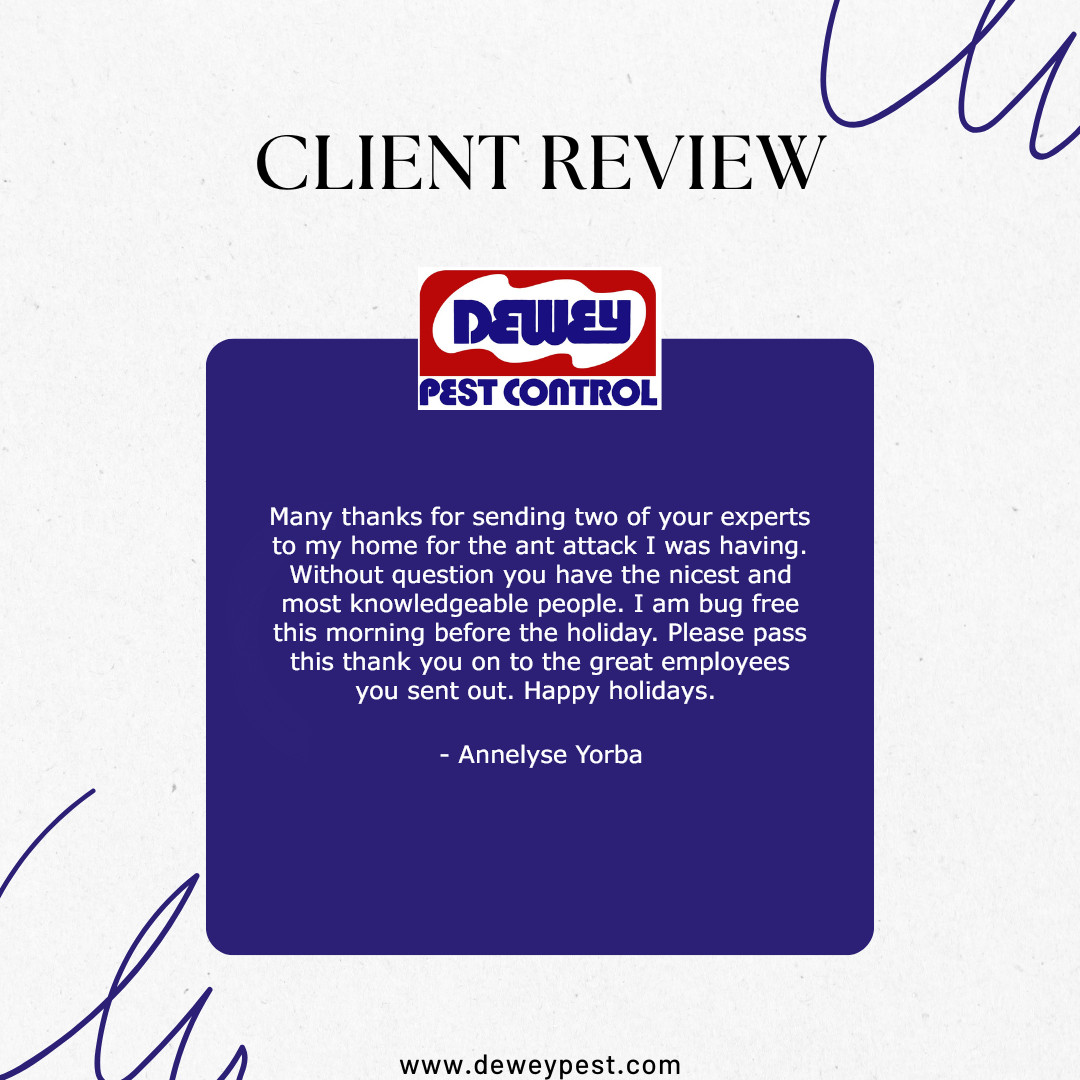 DeweyPestCtrl's tweet image. Another reminder of why we love what we do: delivering dependable, friendly, and effective service you can count on. Thank you for choosing Dewey Pest Control! 🏡🛡️
#DeweyPestControl #PestControlExperts #BugFreeLiving #CustomerAppreciation #HappyCustomers #HomeProtection