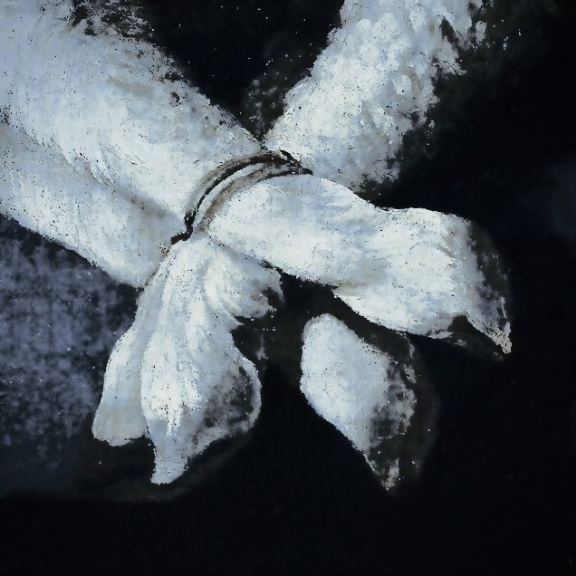 ‍ ‍ ✶ ̫┈ ᵀᴴᴱ 𝐊͟𝐍͟𝐈͟𝐆͟𝐇͟𝐓͟ tweet media