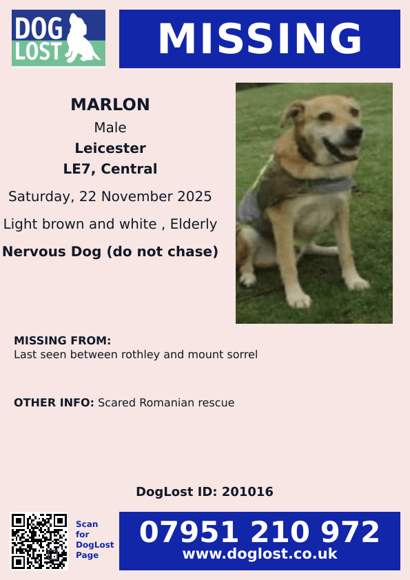 millypod1's tweet photo. MARLON HOME SAFE. THANKS FOR RT's 😊🐕🐾
🆘22 NOV 2025 #Lost Marlon #ScanMe
Scared Romanian #Rescue Male
Last seen between Rothley and Mount Sorrel #LE7 #Leicester #Leicestershire https://t.co/elqS4IaXAR https://t.co/7W477pyomE