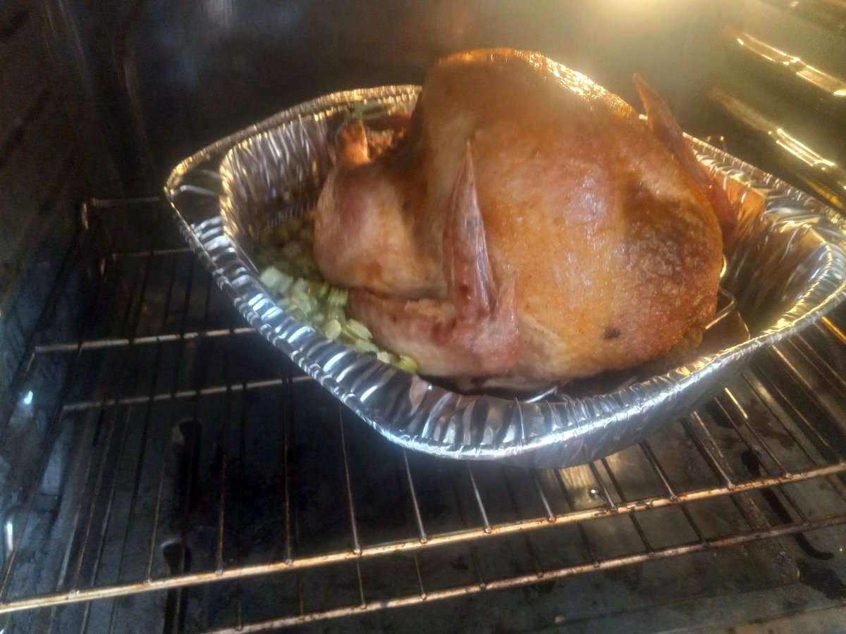 LValance44's tweet photo. Finishing up my #Turkey 😛 going to Big Bros for Thanksgiving but wanted one of my own
*tempt out at 160° but #theStuffing only 140° so leaving it in a while longer 😉 https://t.co/ZaWGg7BBSg