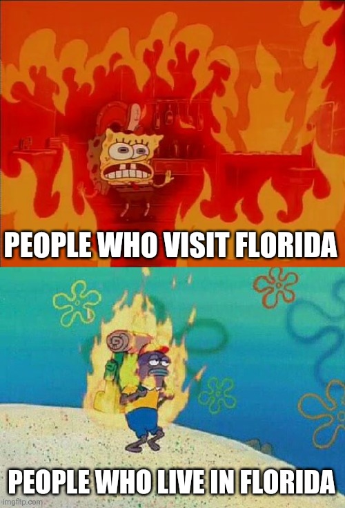 Codebender_Cate's tweet image. Offer your thoughts to my friend @enigmaanjel who is currently being baked by the Florida sun in the middle of Autumn at her job