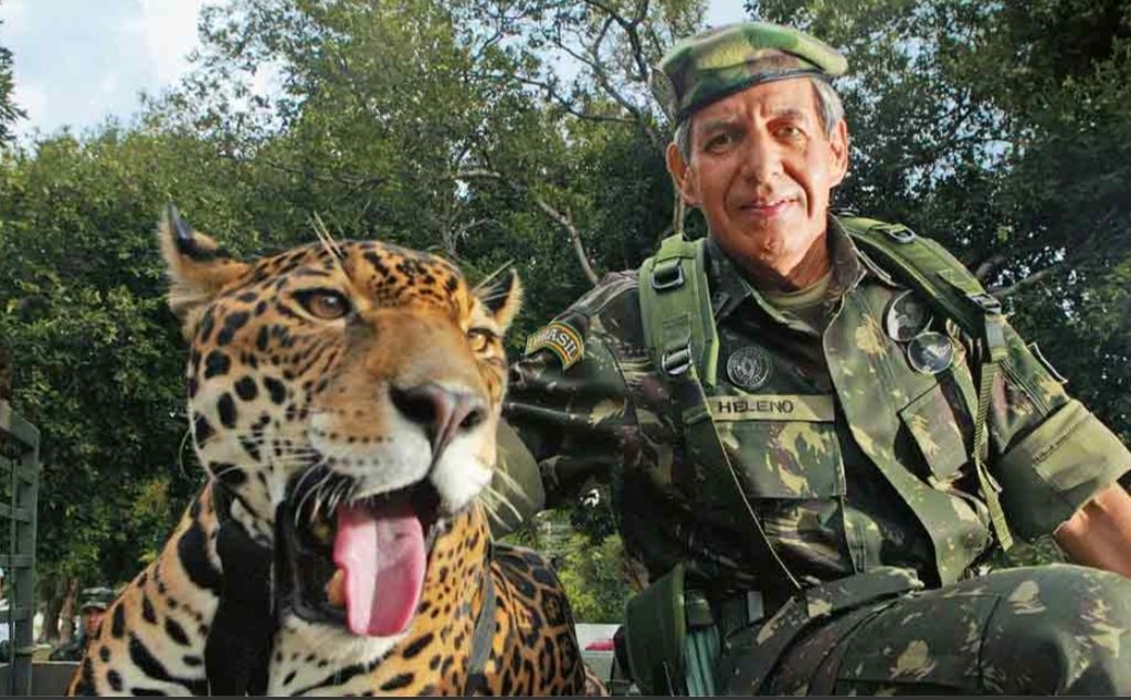 saritacoelho's tweet image. Somente num país entregue ao crime organizado um herói nacional como o general Augusto Heleno estaria sendo preso. O Brasil virou um narcoestado e o sintoma mais evidente é a prisão daqueles que sempre foram exemplo de honestidade e honradez. #SomosTodosGeneralHeleno