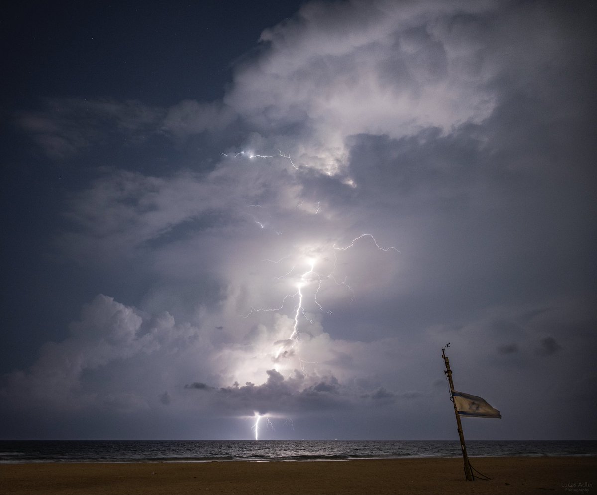 Lucas Adler tweet media