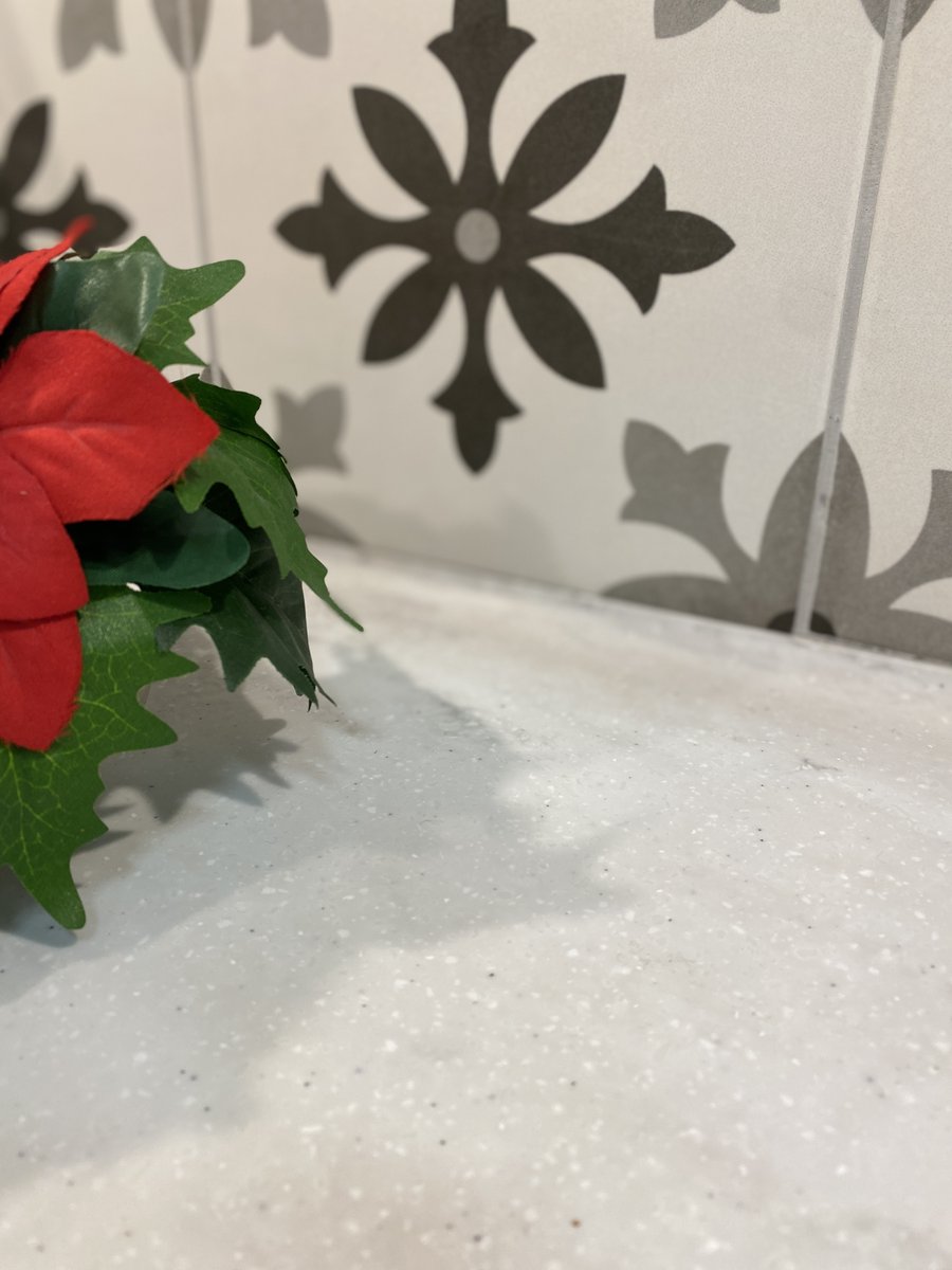 Carpet One Red Deer 🇨🇦 tweet media